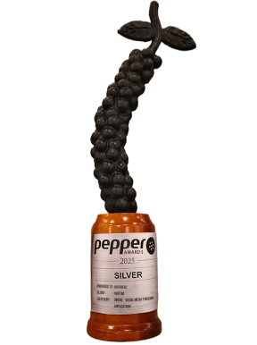 Award winning advertising agency in bangalore