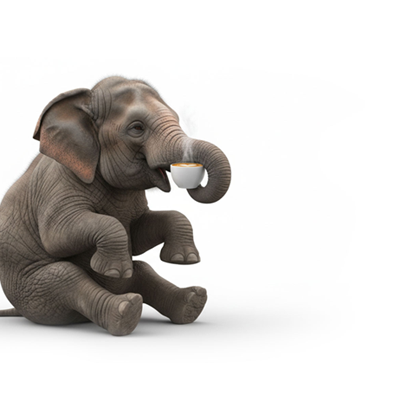 Amazon Ads Specialist