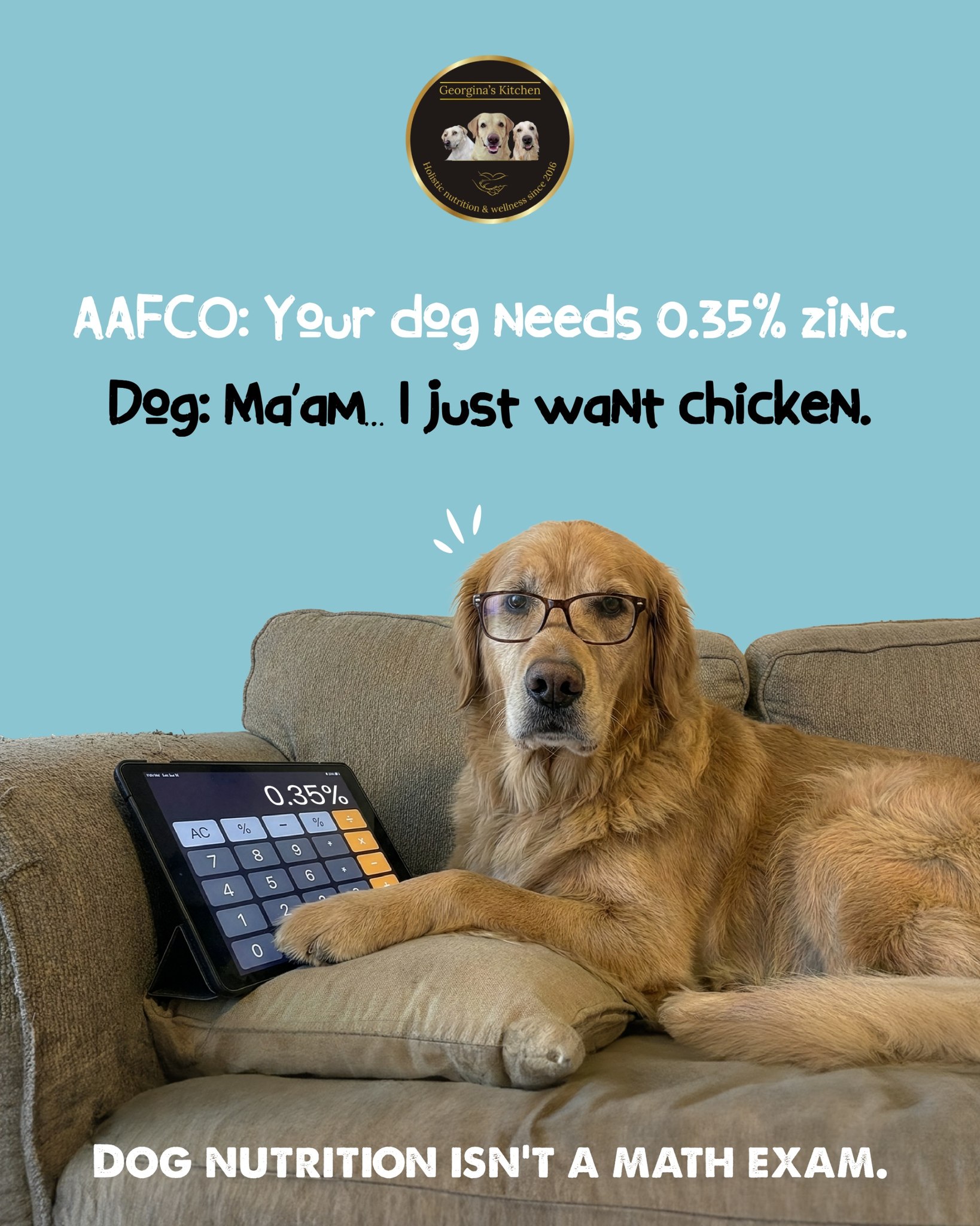 Healthy dog food prep