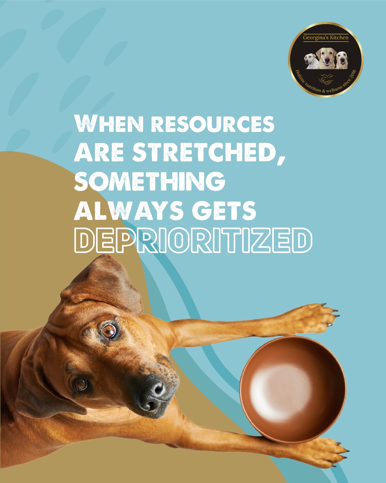 Happy dog eating