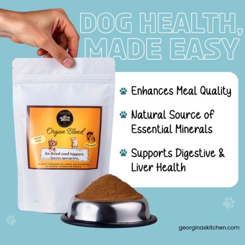 Happy dog eating